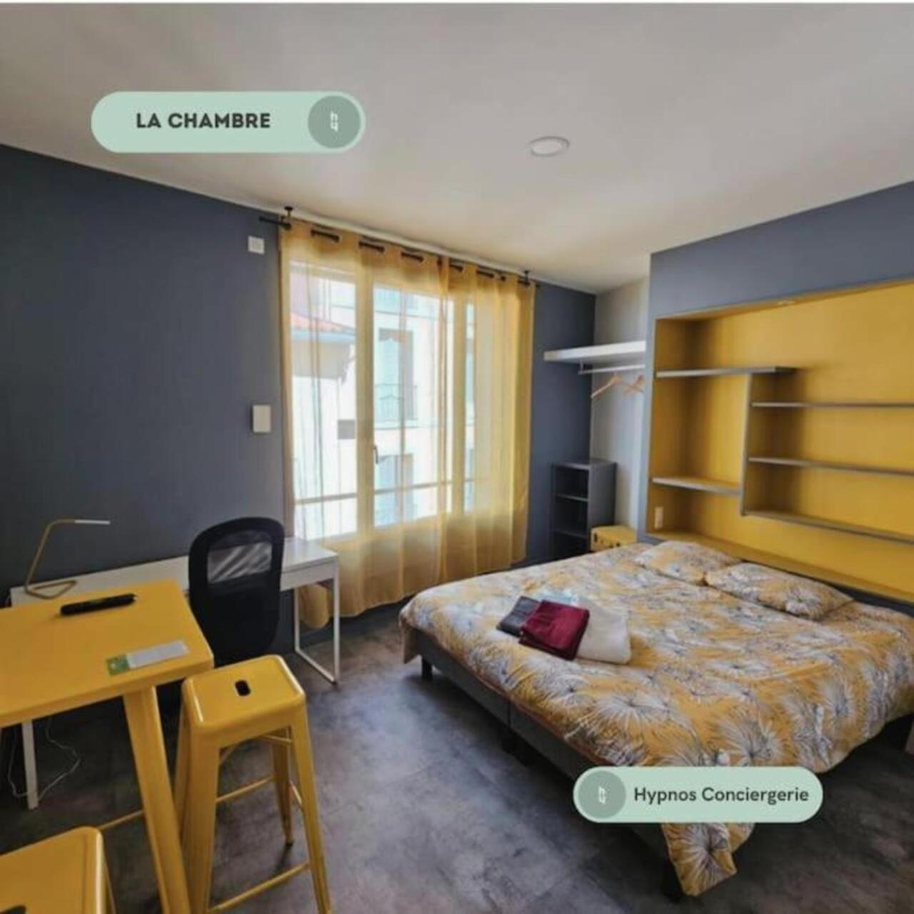 Magnifique Studio - Centre Ville - Pelerins Le Puy-en-Velay Eksteriør billede